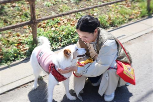 パパを心配するやさしいワンコ