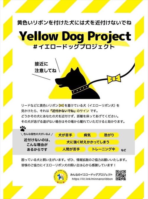 パパを心配するやさしいワンコ