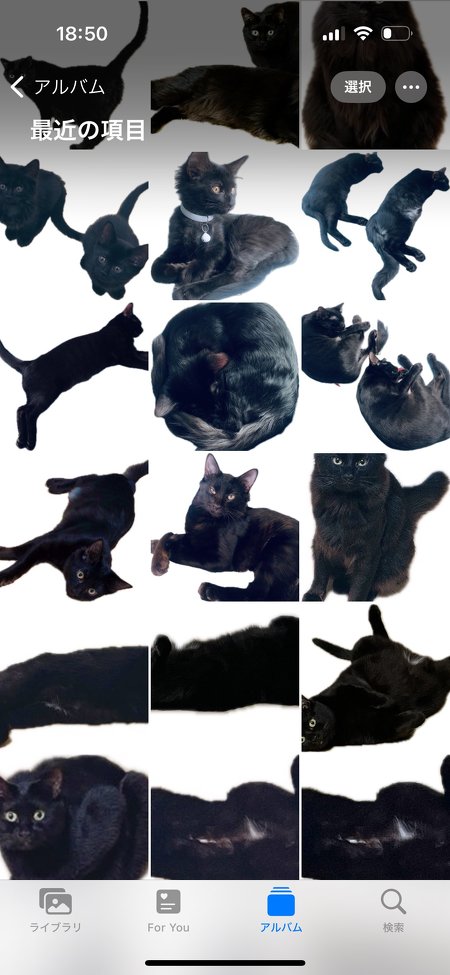 黒猫ちゃんで一杯のカメラロール