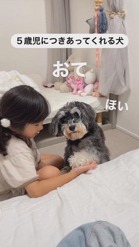 「5歳児につきあってくれる犬」