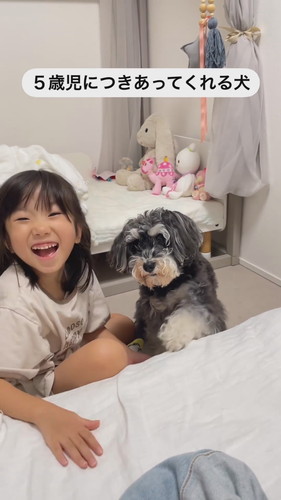 「5歳児につきあってくれる犬」