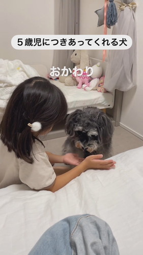 「5歳児につきあってくれる犬」