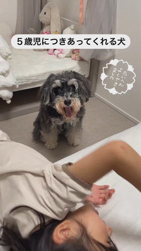 「5歳児につきあってくれる犬」