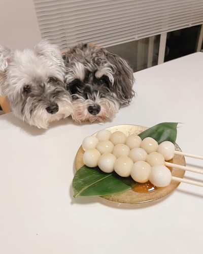 ジジちゃんとトトちゃん