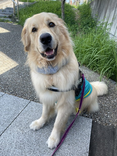 笑顔のチップくん