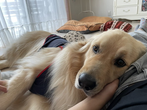 デレてるチップくん