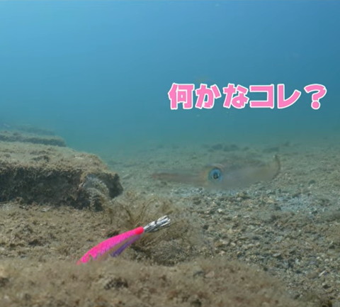 何かなコレテロップ