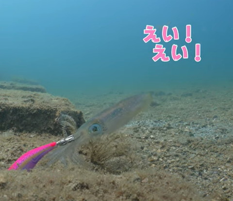 えいえいテロップ