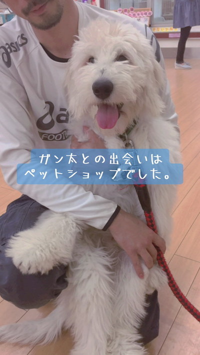 がんたくん抱っこ