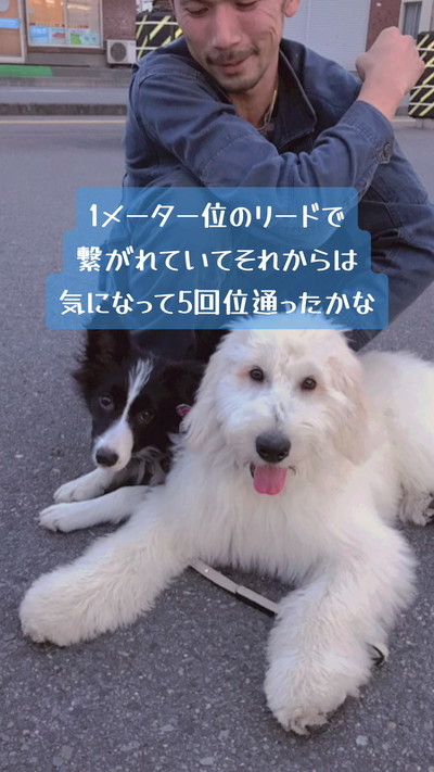 がんたくんの笑顔