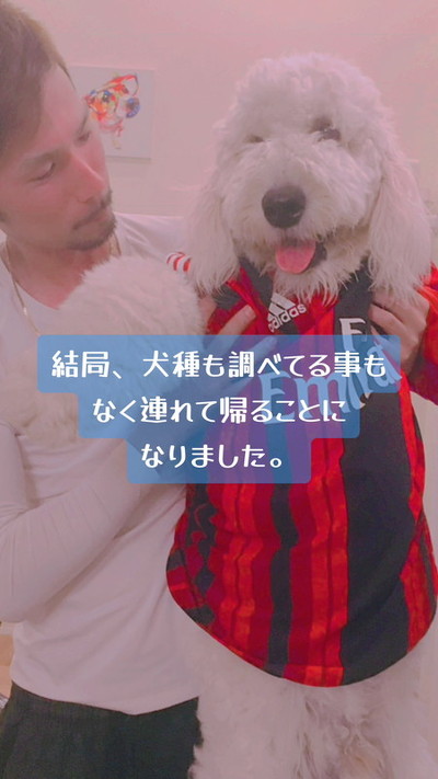 笑顔のがんたくん