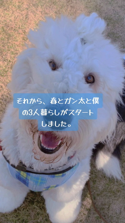 にっこりがんたくん