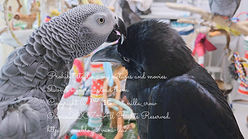 紅幸さんと呂色さん