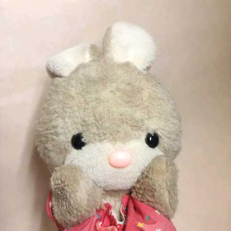 吉徳 ぬいぐるみ うさぎ ピーちゃん カップル 結婚 子ども 娘 キャンディ 再販 パペット