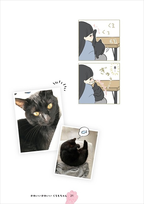 くろもとぽんず