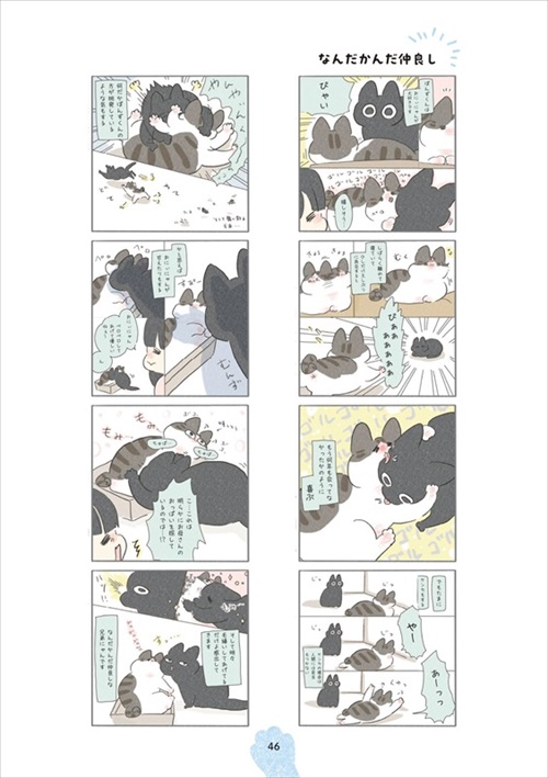 くろもとぽんず