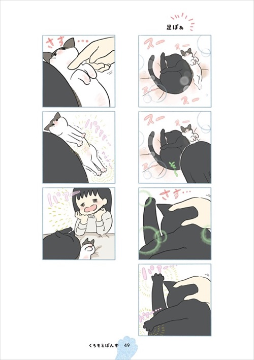 くろもとぽんず