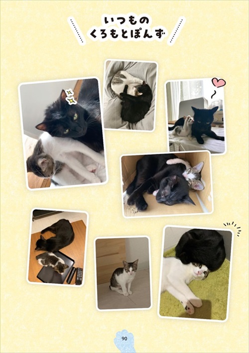 くろもとぽんず