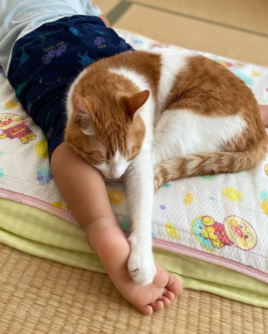 おててとあんよぽん