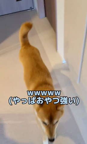 やっぱおやつ強い