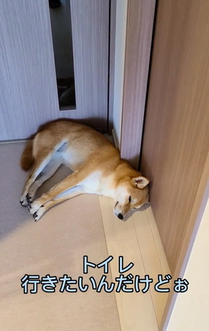 トイレ行きたいんだけどぉ