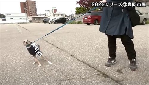 とやまソフトセンター踏ん張り屋さん