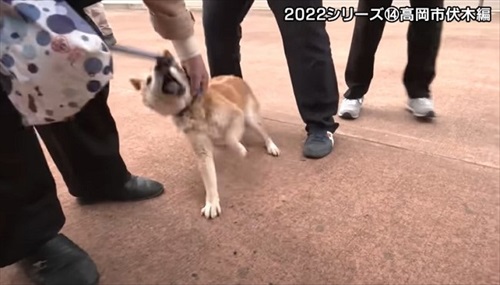 とやまソフトセンター踏ん張り屋さん