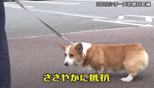 とやまソフトセンター踏ん張り屋さん