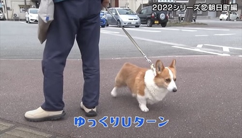 とやまソフトセンター踏ん張り屋さん