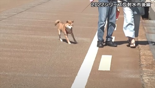 とやまソフトセンター踏ん張り屋さん