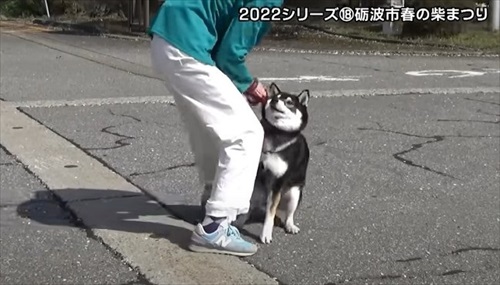 とやまソフトセンター踏ん張り屋さん