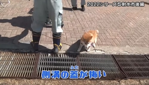 とやまソフトセンター踏ん張り屋さん