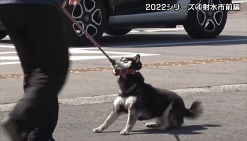 とやまソフトセンター踏ん張り屋さん
