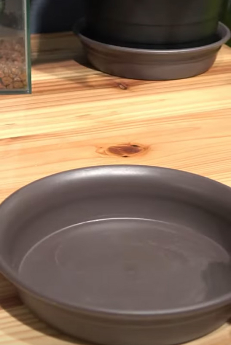 お皿