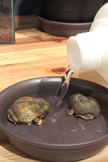 水を注ぐ