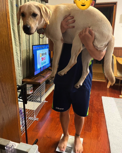 デカワンコの体重測定会