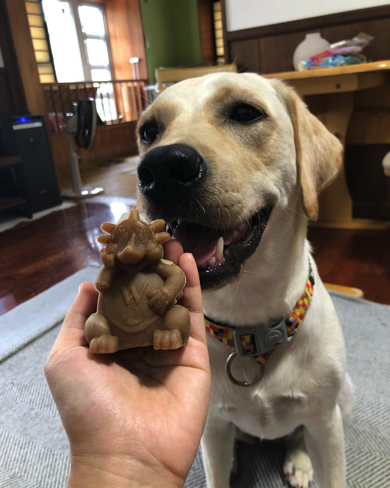 ハリネズミ型の歯ブラシにもチャレンジ