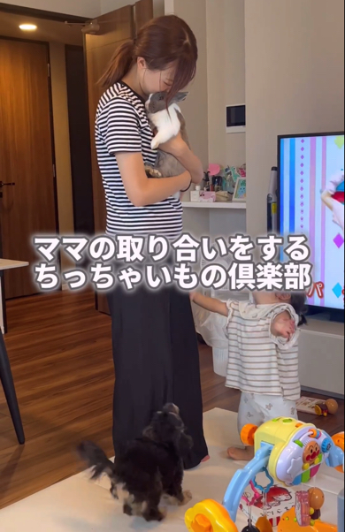 うさぎを抱っこするママの足元に赤ちゃんとワンコ