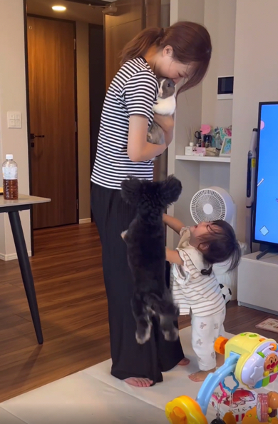 うさぎにヤキモチを焼く赤ちゃんとワンコ