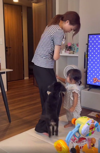 ママが大好きな赤ちゃんとワンコなのでした