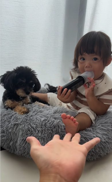 仲良しな赤ちゃんとワンコ