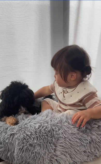 ワンコにヨシヨシしてあげる赤ちゃん