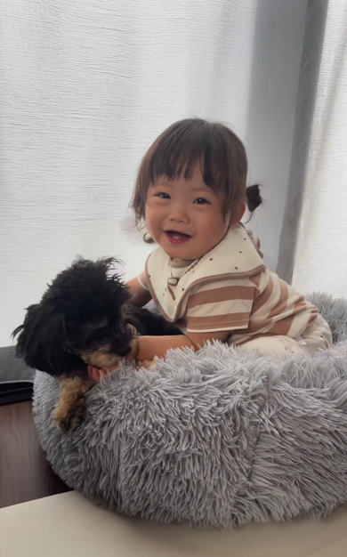 さらに追いギュー