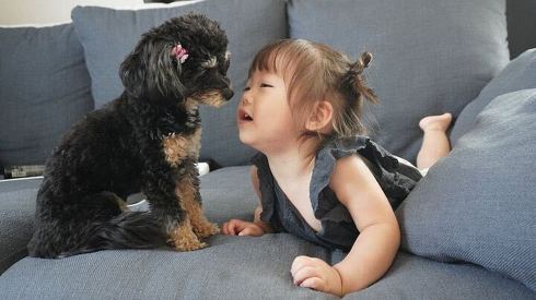 ブランちゃんときいちゃん