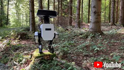 ディズニーのロボットが森を歩くところ
