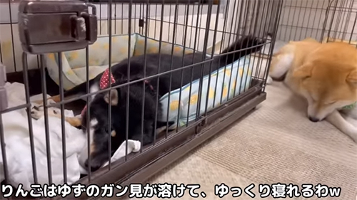 ゆっくり眠れる