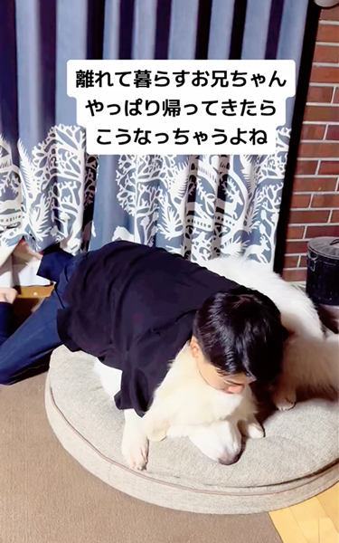 愛犬にメロメロなお兄ちゃん