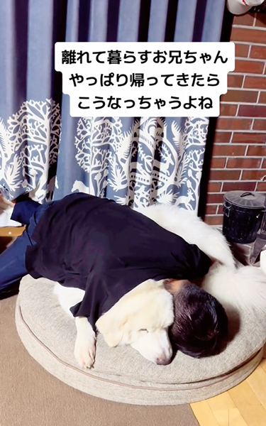 愛犬にメロメロなお兄ちゃん