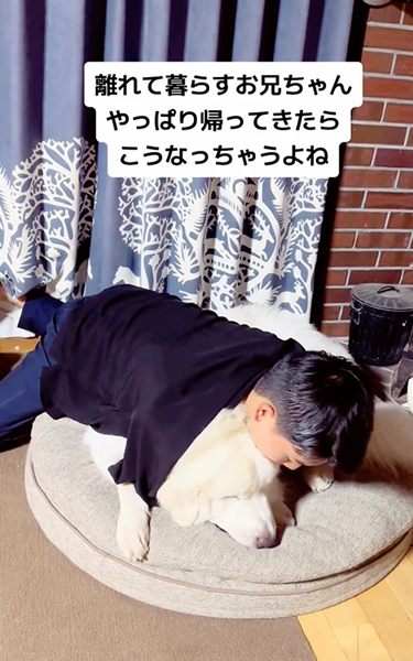 愛犬にメロメロなお兄ちゃん