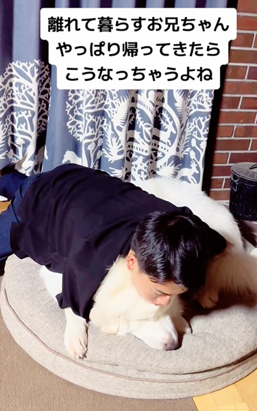 愛犬にメロメロなお兄ちゃん